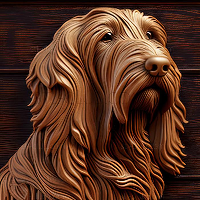 st The Great Vendean Basset Griffon dog